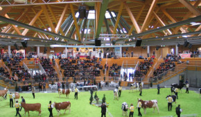 Arena Hohenlohe
