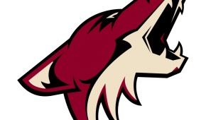 NHL : future patinoire pour les Coyotes d'Arizona ?