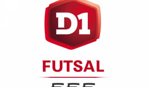 FFF D1 Futsal