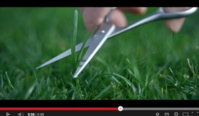 Le PSG envoie son meilleur élément à CenterParcs