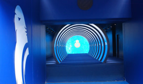 RCDE Stadium - Tunnel des joueurs - 2021-09-30 - copyright OStadium.com