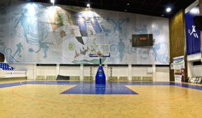 Sala Sporturilor Constantin Jude