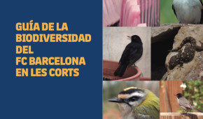 Spotify Camp Nou - Guide de la biodiversité au FC Barcelone à Les Corts