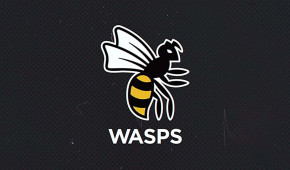 Nouveau stade pour les Wasps ?