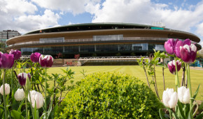 Un toit rétractable pour Court No 1 de Wimbledon